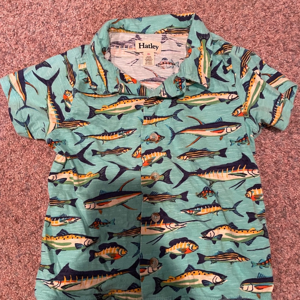 Hatley Aquatic Adventure Kids Shirt - Teal